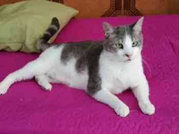 Selina Bild von Selina