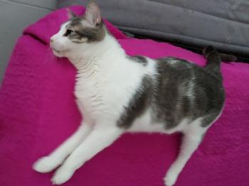 Selina Bild von Selina