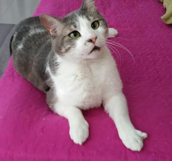 Selina Bild von Selina
