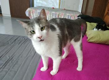 Selina Bild von Selina