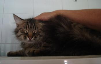 Pia Bild von Pia