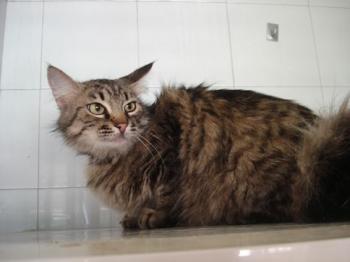 Pia Bild von Pia