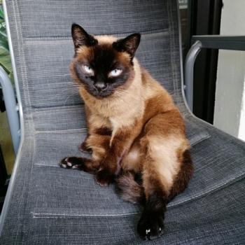 Bibi Bild von Bibi