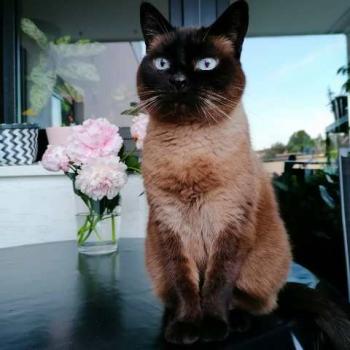 Bibi Bild von Bibi