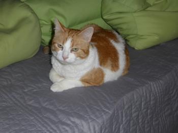 Brigita Bild von Brigita
