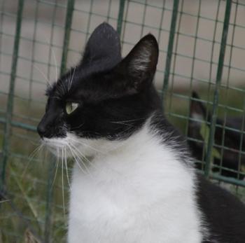 Hilda Bild von Hilda