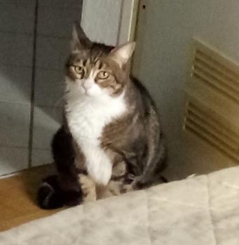 Eguzki Bild von Eguzki