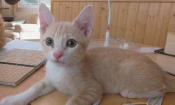 Manolo Bild von Manolo