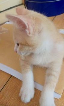 Manolo Bild von Manolo
