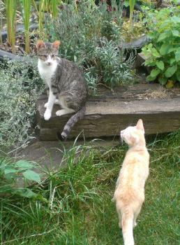 Hope und Freunde Bild von Hope