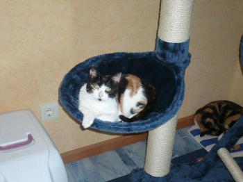 Bild von Mina
