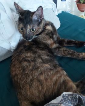 Coco Bild von Coco