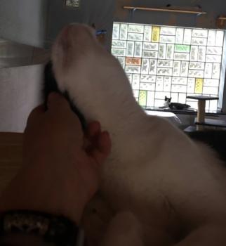 Victor Bild von Victor