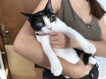 Felisa Bild von Felisa