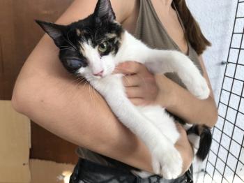 Felisa Bild von Felisa