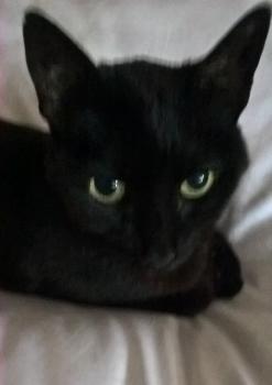 Nera Bild von Nera