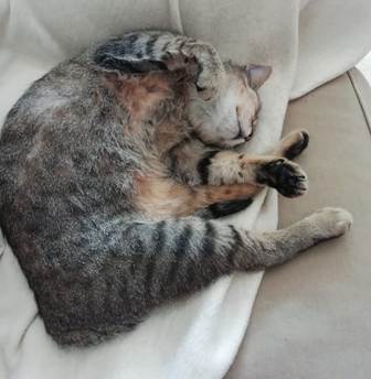 Nora Bild von Nora