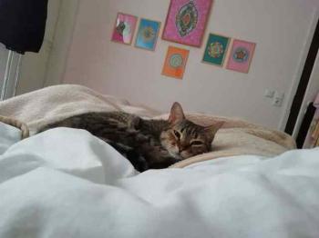 Nora Bild von Nora