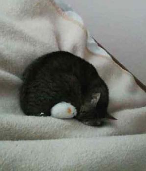 Nora Bild von Nora