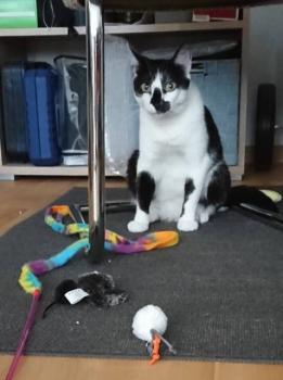 Trufa Bild von Trufa