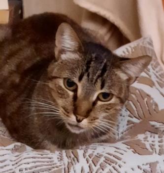 Simon Bild von Simon