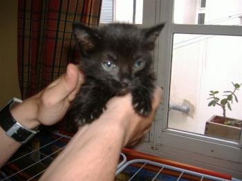 lia Bild von Lia