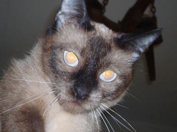Sally Bild von Sally