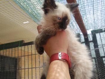 Missy Bild von Missy