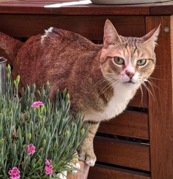 Bild von Margaret