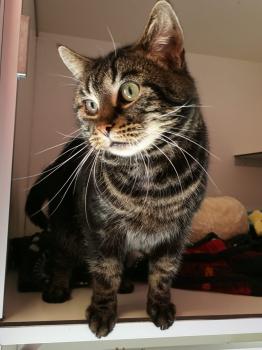 Junior Bild von Junior