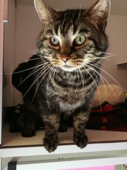 Junior Bild von Junior