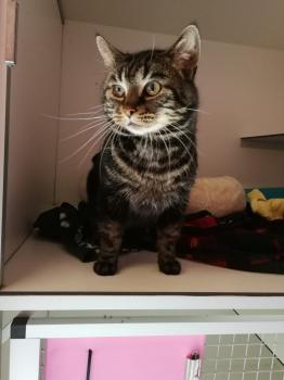 Junior Bild von Junior