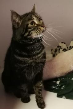 Junior Bild von Junior