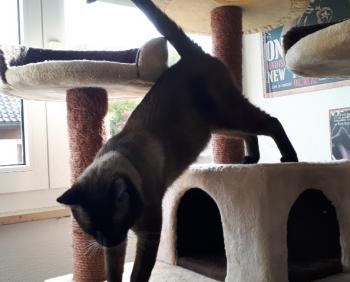 Masai Bild von Masai