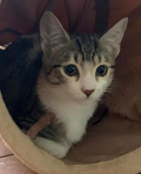 Rosita Bild von Rosita
