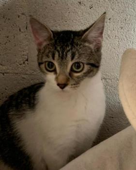 Rosita Bild von Rosita