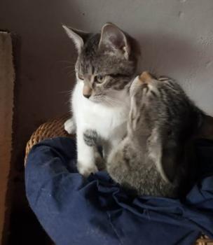 Rosita Bild von Rosita