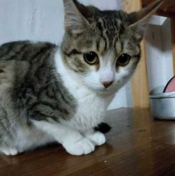 Rosita Bild von Rosita