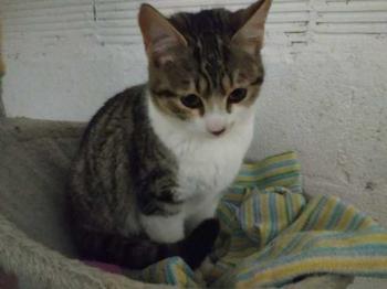 Rosita Bild von Rosita