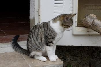 Rosita Bild von Rosita
