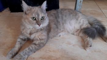 Matilda Bild von Matilda