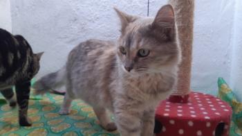 Matilda Bild von Matilda