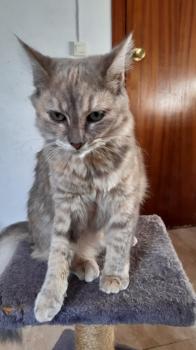 Matilda Bild von Matilda