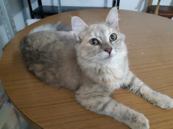 Matilda Bild von Matilda