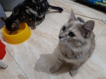 Matilda Bild von Matilda