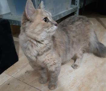 Matilda Bild von Matilda