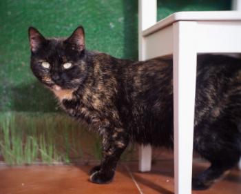 Doris Bild von Doris
