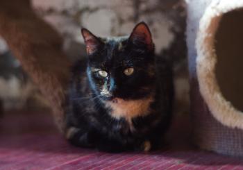 Doris Bild von Doris