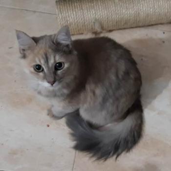 Matilda Bild von Matilda