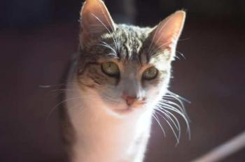 Rosita Bild von Rosita